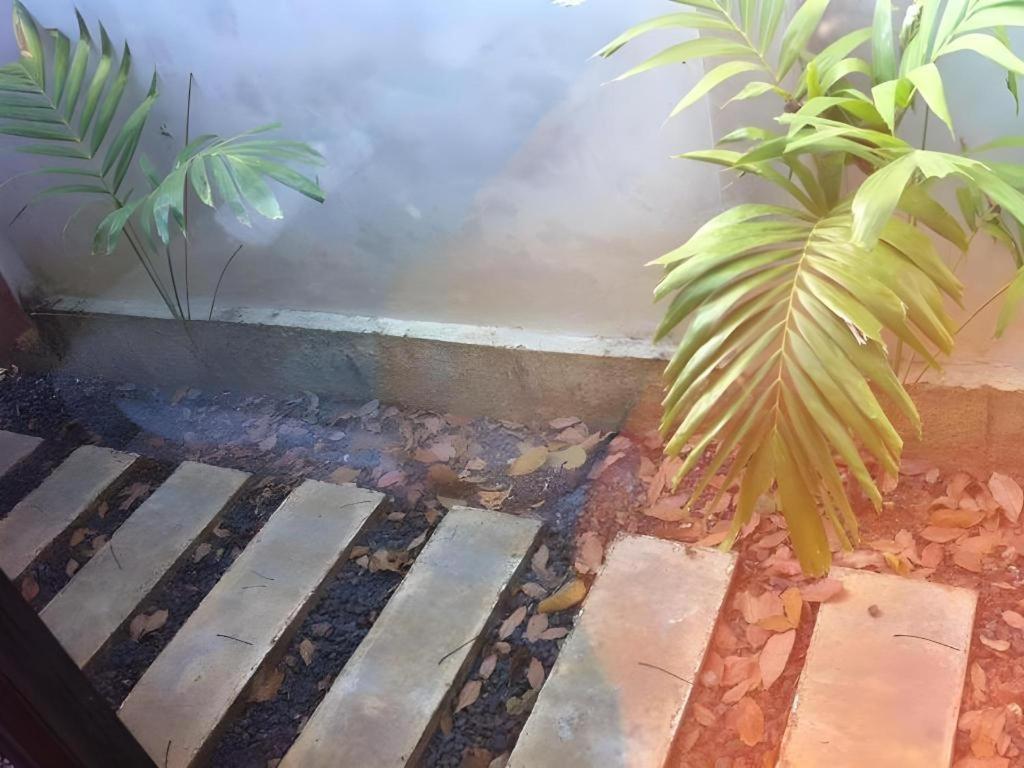 Secret Garden Trang Resort エクステリア 写真